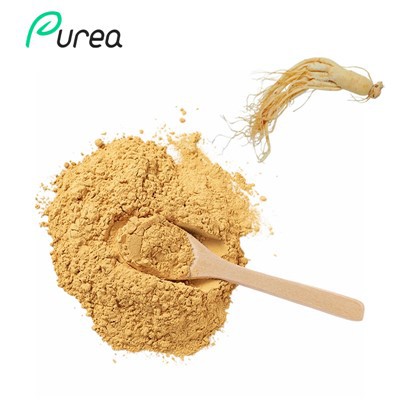 আমেরিকান জিনসেং বেরি নির্যাস